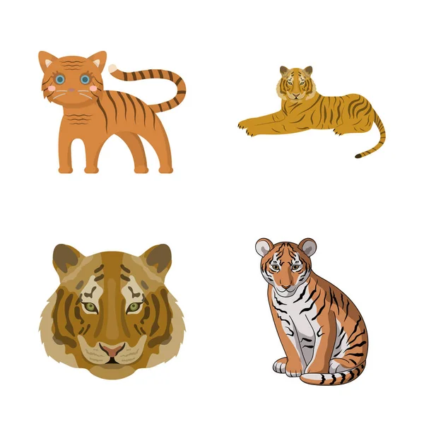 Vektordesign von Tiger und asiatischer Ikone. Set von Tiger und Tätowierungs-Vektor-Symbol für Aktien. — Stockvektor