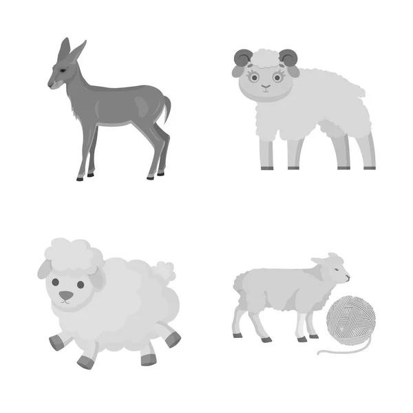 Isolated object of sheep and goat sign. Collection of sheep and happy  stock symbol for web. — Stock Vector