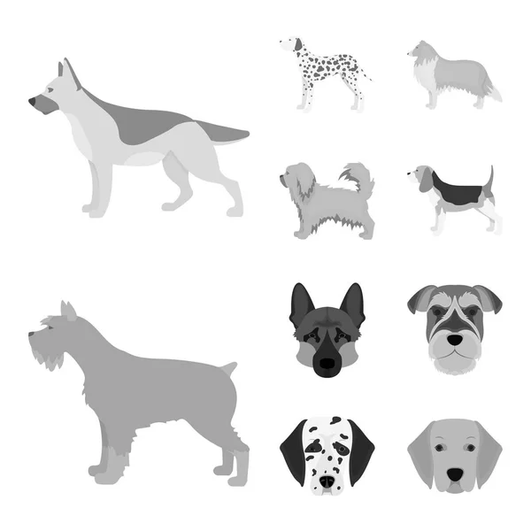 かわいいのベクトル図と子犬に署名します。Web のかわいい、動物の株式シンボルのコレクション. — ストックベクタ