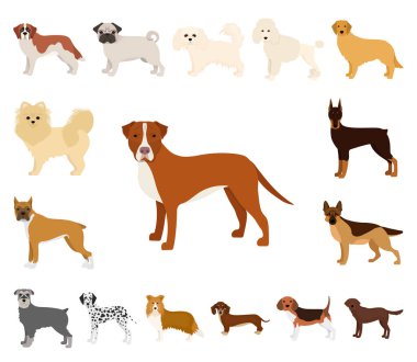 Köpek ırkları set koleksiyonu tasarım için simgeleri karikatür. Köpek evde beslenen hayvan vektör simge stok web çizim.
