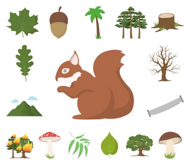 Set koleksiyonu tasarım için orman ve doğa karikatür simgeler. Orman hayat vektör simge stok web çizim.