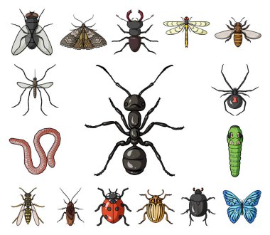 Çeşitli böcekler set koleksiyonu tasarım için simgeleri karikatür. Böcek Eklem bacaklılar vektör simge stok web çizimi.