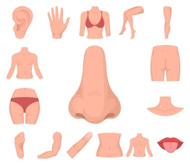 Vücut, bacak karikatür simgeleri tasarım için küme toplama bir parçası. İnsan anatomisi vektör simge stok web çizimi.