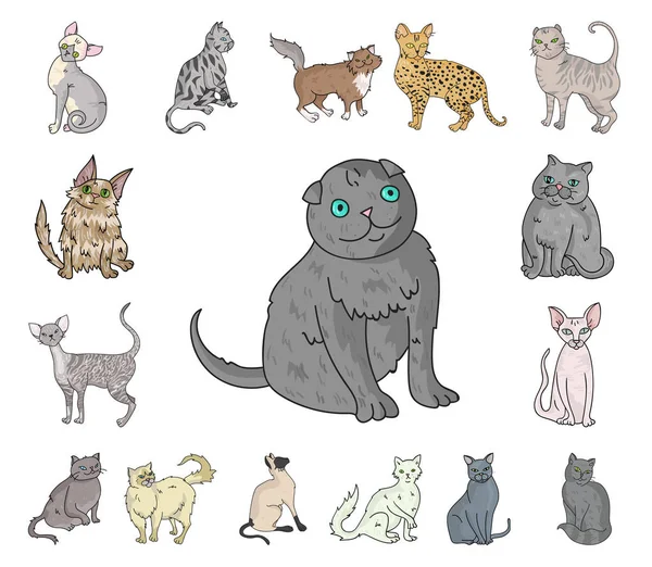 Races de chats icônes de dessin animé dans la collection de jeu pour le design. Animaux chat vecteur symbole stock web illustration . — Image vectorielle
