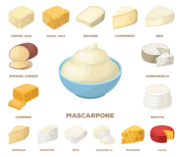 Différents types d'icônes de dessins animés au fromage dans la collection de set pour le design.Milk produit fromage vecteur symbole illustration web stock . — Image vectorielle