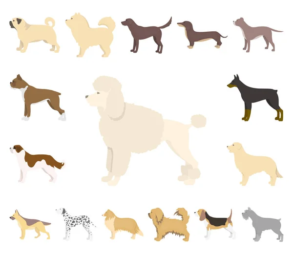 Cão raças desenhos animados ícones na coleção de conjuntos para design.Dog animal de estimação símbolo vetorial ilustração web . —  Vetores de Stock