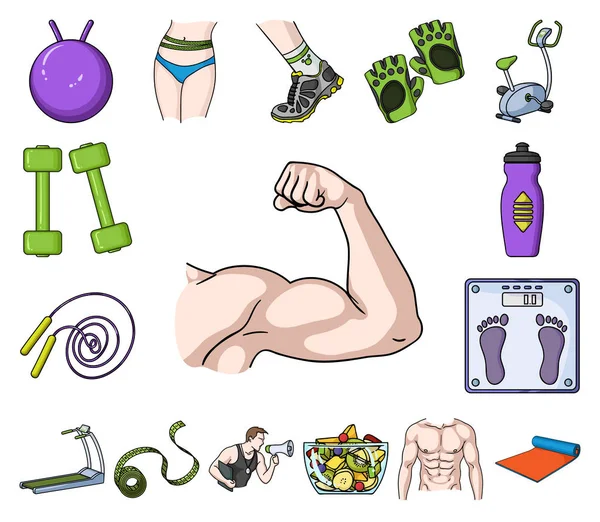 Aptitud y atributos iconos de dibujos animados en la colección de conjuntos para el diseño. Equipo de fitness vector símbolo stock web ilustración . — Vector de stock