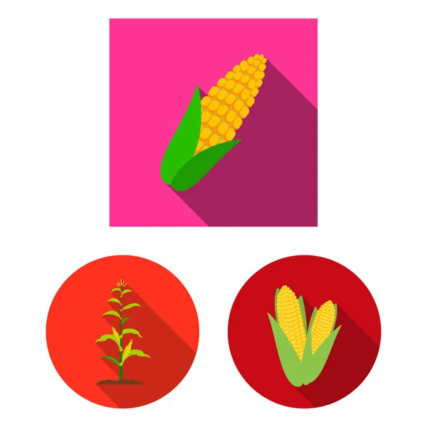 Projekt wektor ikona kukurydzy i liści. Zbiór kukurydzy i słodki symbol giełdowy dla sieci web. — Wektor stockowy