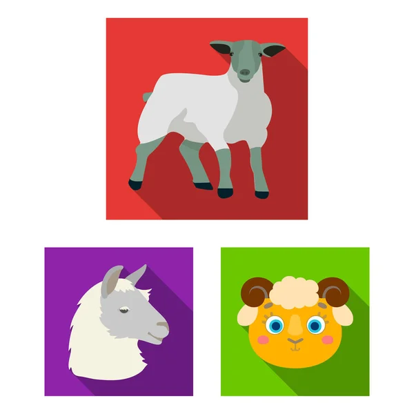 Ilustración vectorial de ovejas y cabras icono. Conjunto de ovejas y feliz stock símbolo para la web . — Vector de stock