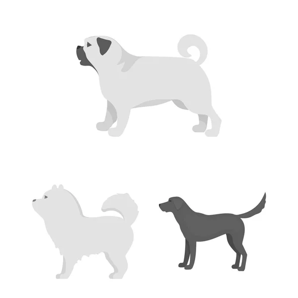 Design vetorial do logotipo bonito e filhote de cachorro. Coleção de ilustração vetorial de estoque bonito e animal . — Vetor de Stock