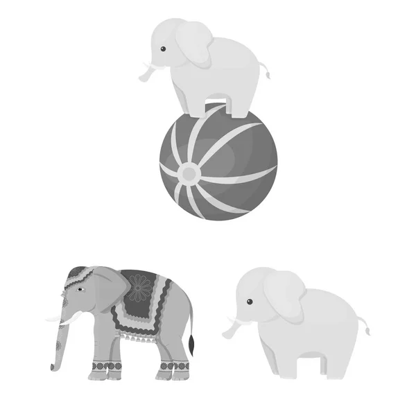 Векторная иллюстрация слона и азиатского символа. Коллекция векторных иллюстраций слонов и слонов . — стоковый вектор