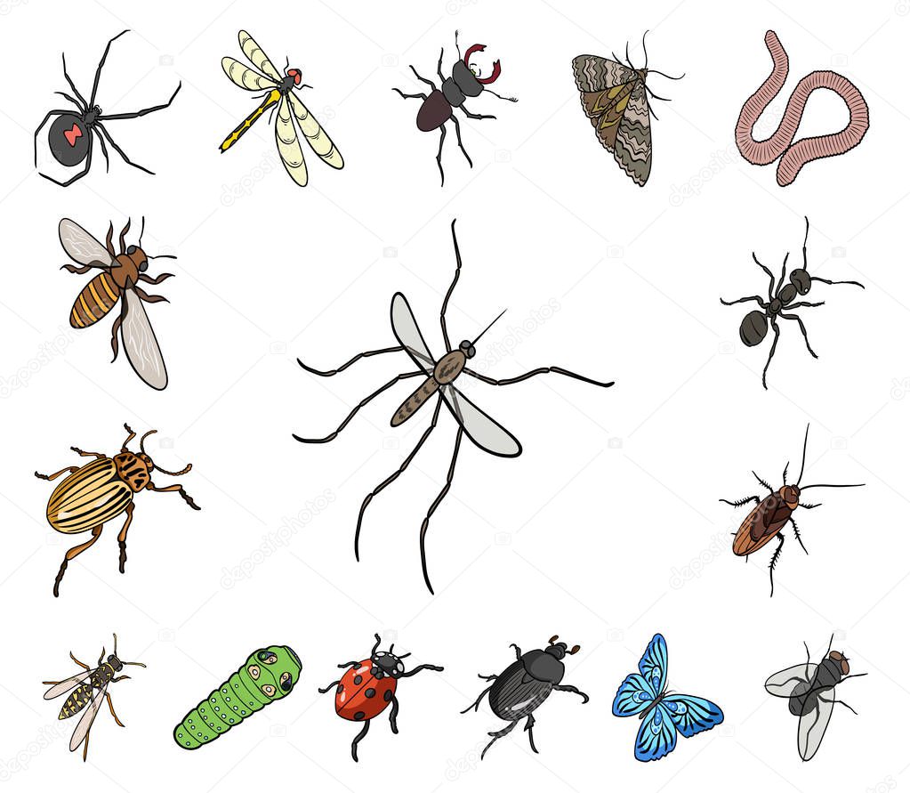 Different kinds of insects cartoon icons in set collection for design. Insect arthropod vector isometric symbol stock  illustration.