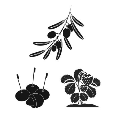 Berry ve meyve simge vektör Illustration. Berry ve redberry hisse senedi vektör çizim topluluğu.