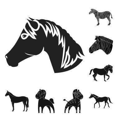 Tırıs ve koşma simge vektör tasarımı. Tırıs ve clipart vektör simgesini hissenin topluluğu.