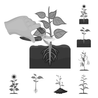 Bitki ve fasulye işareti yalıtılmış nesne. Hisse senedi için bitki ve işlem vektör simge topluluğu.