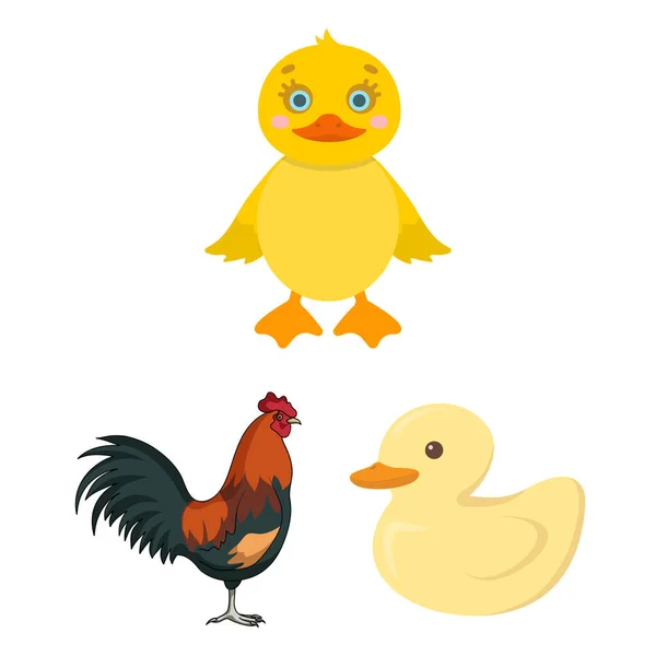 Vectorillustratie van grappige en pluimvee logo. Set van grappige en boerengemeenschappen vector pictogram voor voorraad. — Stockvector