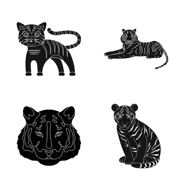 Vektor Design Tiger Och Asiatiska Symbolen Samling Tiger Och Tatuering — Stock vektor