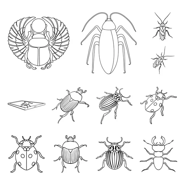 Böcek ve böcek logo vektör Illustration. Hisse senedi için böcek ve Cadılar Bayramı vektör simge kümesi. — Stok Vektör