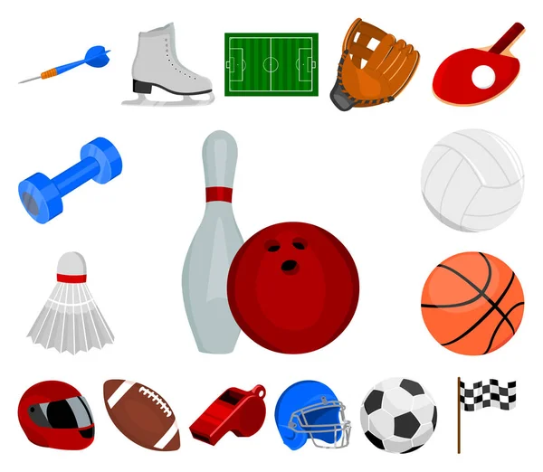 Diferentes tipos de iconos de dibujos animados deportivos en la colección de conjuntos para el diseño. Equipo deportivo vector símbolo stock web ilustración . — Vector de stock