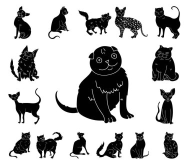 Doğurmak-in cats set koleksiyonu tasarım için simgeler siyah. Evde beslenen hayvan kedi vektör simge stok web çizim.