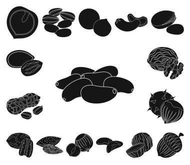 Fındık çeşitleri set koleksiyonu tasarım için simgeler siyah. Fındık gıda vektör simge stok web çizim.