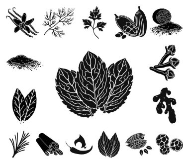 Ot ve baharat set koleksiyonu tasarım için simgeler siyah. Baharat çeşitleri simge stok web illüstrasyon vektör.