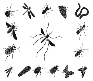 Çeşitli böcekler set koleksiyonu tasarım için simgeler siyah. Böcek Eklem bacaklılar vektör izometrik sembol stok web çizimi.