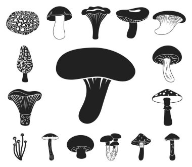 Poisonous and edible mushroom black icons in set collection for design. Different types of mushrooms vector symbol stock web illustration. clipart