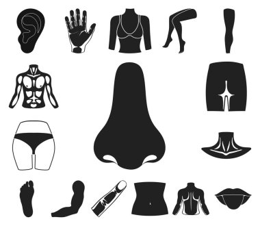 Uzuv / Organ, set koleksiyonu tasarım için bacak siyah simgeler. İnsan anatomisi vektör simge stok web çizimi.