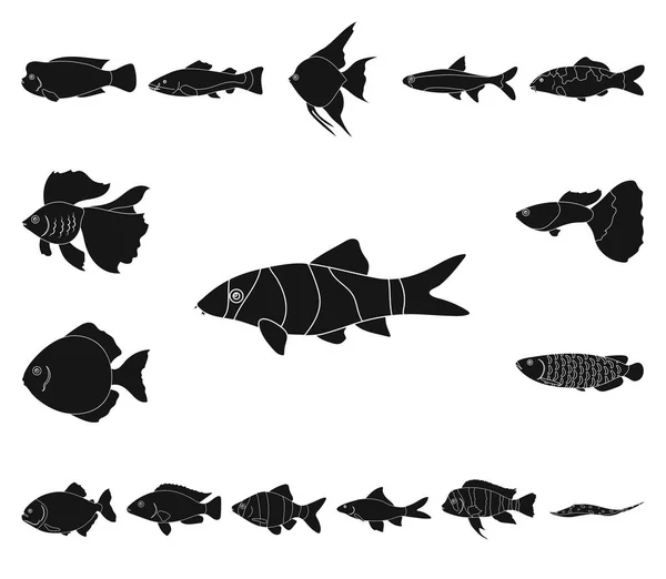 Verschiedene Arten von Fisch schwarzen Symbolen in Set-Kollektion für Design. Meeres- und Aquarienfische Vektor Symbol Stock Web Illustration. — Stockvektor