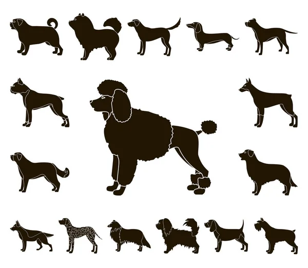 Rasy psów czarny ikony w kolekcja zestaw do projektowania. Pies pieścić wektor symbol akcji web ilustracja. — Wektor stockowy