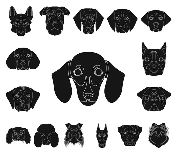 Köpek ırkları set koleksiyonu tasarım için simgeler siyah. Bir köpek vektör simge stok web illüstrasyon namlu.