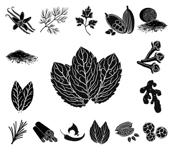 Ícones pretos de ervas e especiarias na coleção de conjuntos para design.Different tipos de seasonings símbolo vetorial ilustração web estoque . — Vetor de Stock