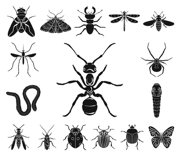 Verschillende soorten insecten zwarte pictogrammen in set collectie voor design. Geleedpotigen insect symbool voorraad web vectorillustratie. — Stockvector