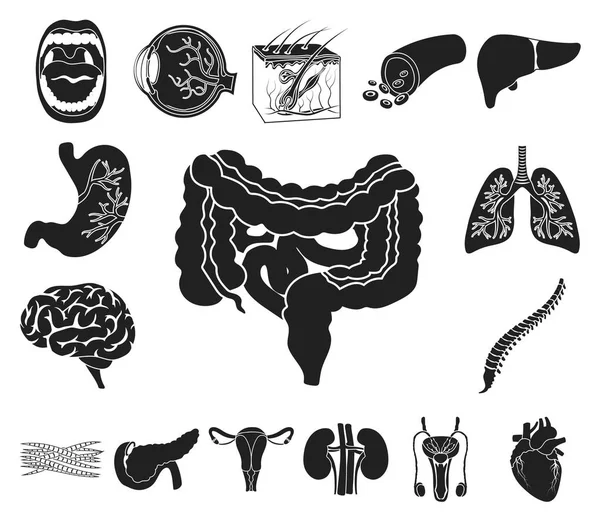 Innere Organe eines menschlichen schwarzen Ikonen in Set-Kollektion für Design. Anatomie und Medizin Vektor Symbol Stock Web Illustration. — Stockvektor