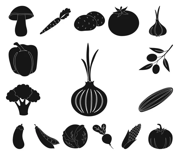 Verschiedene Arten von Gemüse schwarze Symbole in Set-Kollektion für Design. Gemüse und Vitamine Vektor Symbol Stock Web Illustration. — Stockvektor