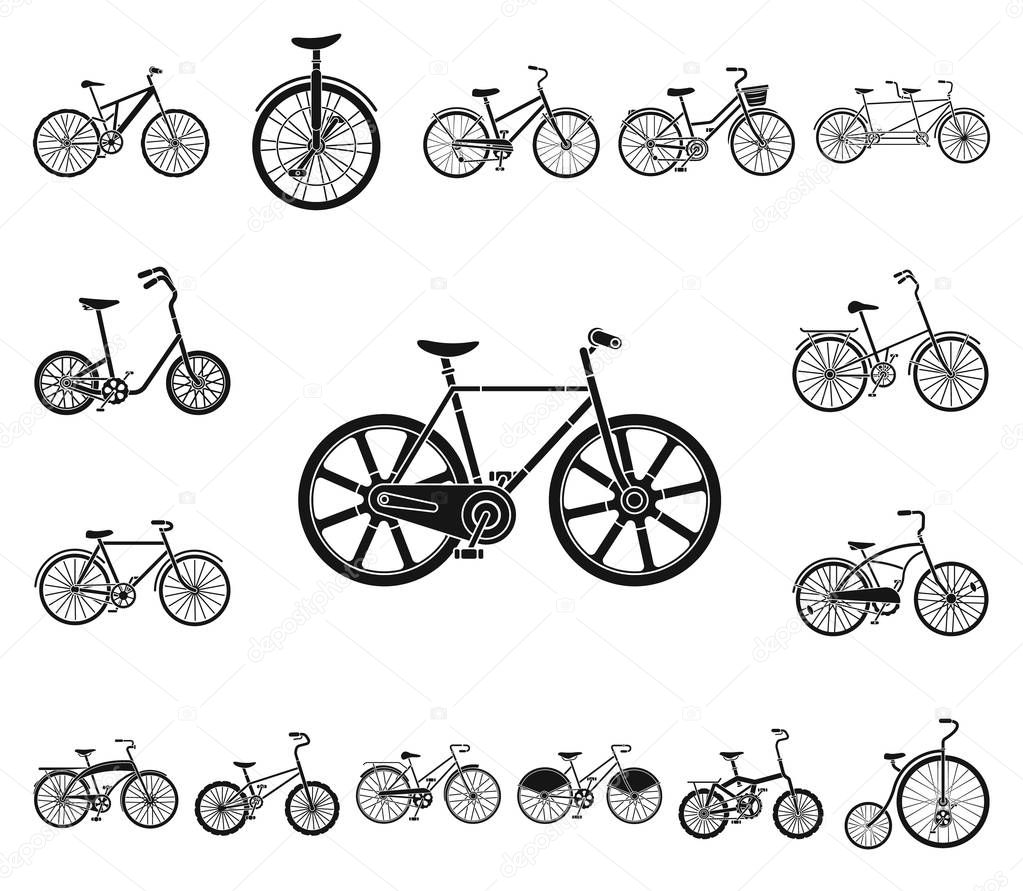 Various bicycles black icons in set collection for design. The type of transport vector symbol stock  illustration.