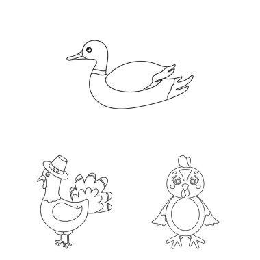 Komik ve kümes hayvanları logo yalıtılmış nesne. Komik ve tarım hisse senedi vektör çizim koleksiyonu.