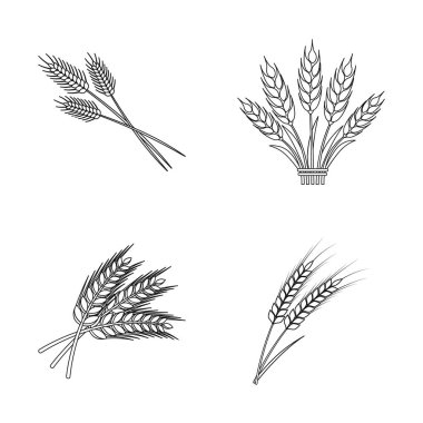 Buğday ve sapı sembol vektör tasarımı. Web için buğday ve buğday hisse senedi simgesi kümesi.