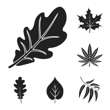 Vegan ve organik logo yalıtılmış nesne. Vegan ve web için taze hisse senedi simgesi toplama.