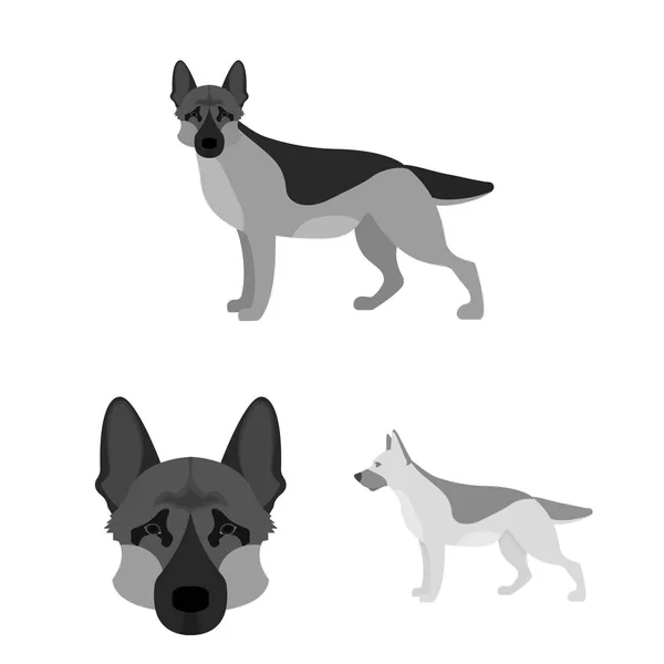 Vektorillustration und Schäferhund-Logo. Sammlung und deutsches Vektor-Symbol für Aktien. — Stockvektor