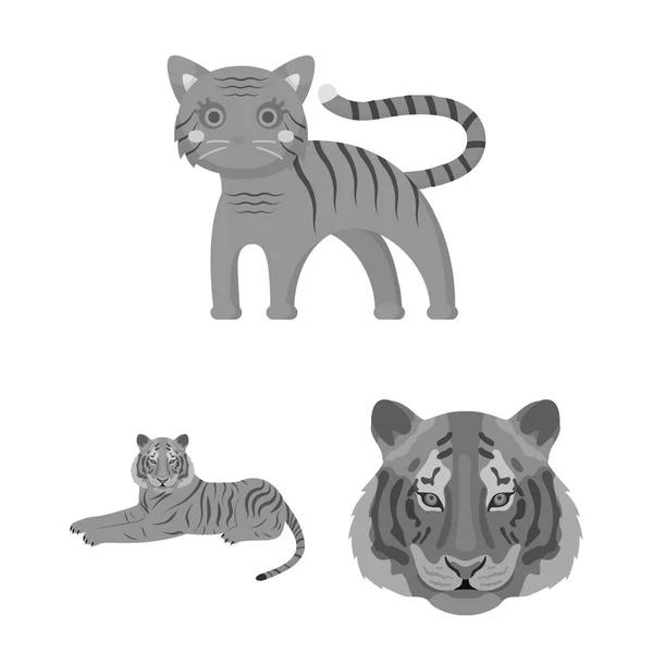 Diseño vectorial de tigre y signo asiático. Colección de tigre y el icono del vector del tatuaje para stock . — Vector de stock