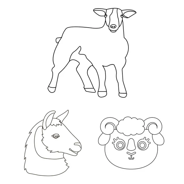 Ilustração vetorial do símbolo de ovelha e cabra. Coleção de ovelhas e feliz símbolo de estoque para web . —  Vetores de Stock