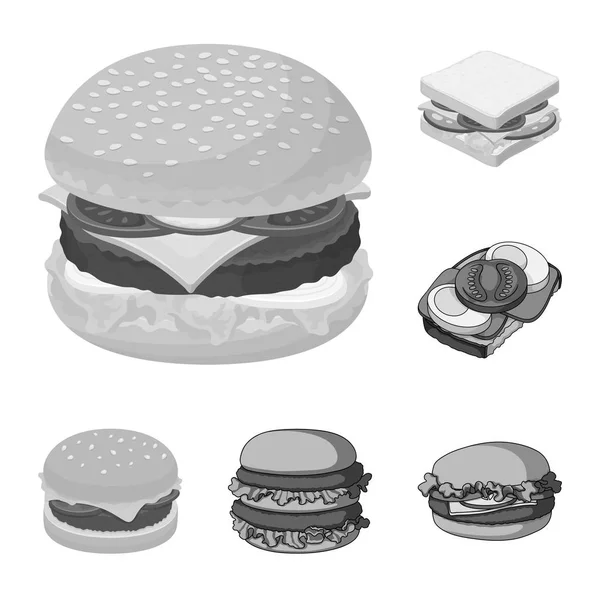 Illustration vectorielle de sandwich et icône enveloppante. Collection de sandwichs et icône vectorielle déjeuner pour stock . — Image vectorielle