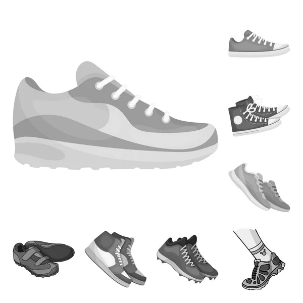 Diseño vectorial de zapato y logo deportivo. Set de zapato y icono de vector fitness para stock . — Vector de stock