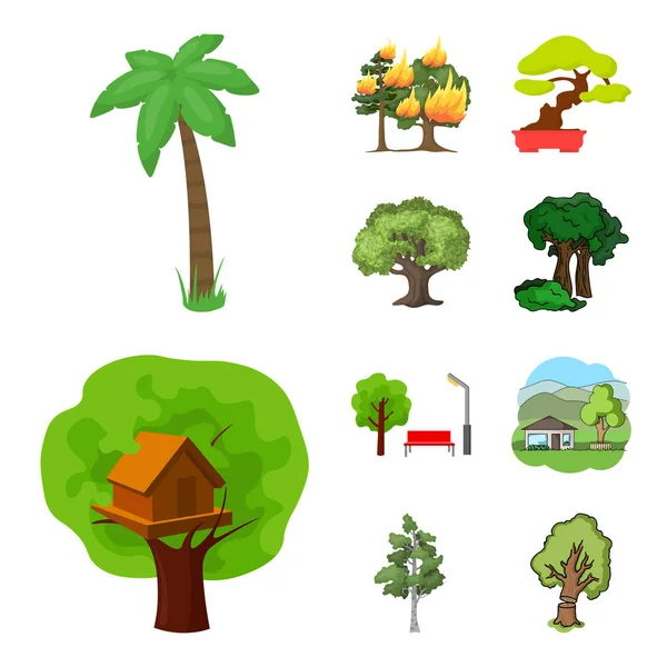 Vektordesign von Baum- und Waldschildern. Set aus Baum und grünem Aktiensymbol für Web. — Stockvektor