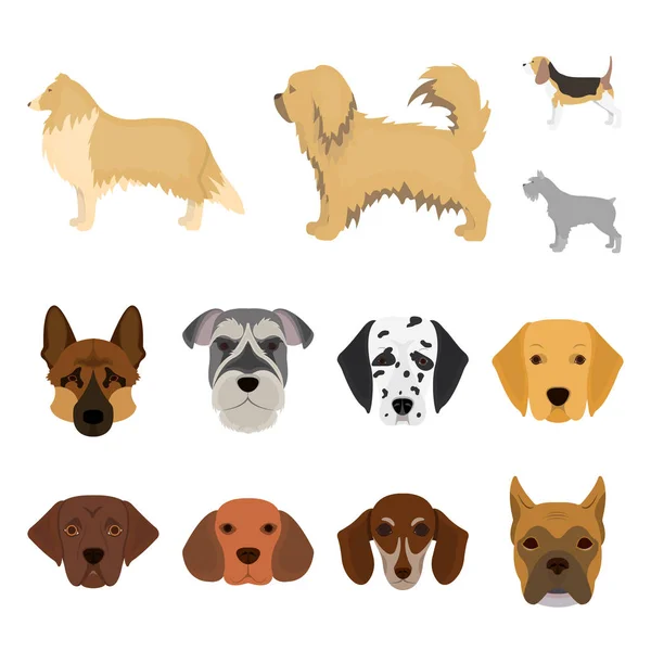 Design vetorial de sinal bonito e filhote de cachorro. Coleção de ilustração vetorial de estoque bonito e animal . — Vetor de Stock