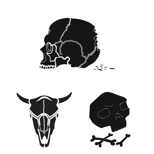 Ilustração vetorial do esqueleto e signo do personagem. Conjunto de esqueleto e halloween símbolo de estoque para web . — Vetor de Stock