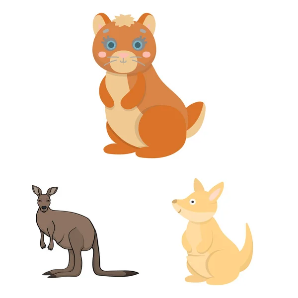 Векторная иллюстрация кенгуру и милый знак. Набор символов кенгуру и детского инвентаря для интернета . — стоковый вектор