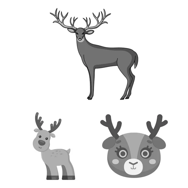 Ilustración vectorial de alce y símbolo de cabeza. Conjunto de ilustración de vectores de alces y ciervos . — Archivo Imágenes Vectoriales